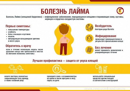 Болезнь Лайма в Ивановской области диагностирована у 7 человек